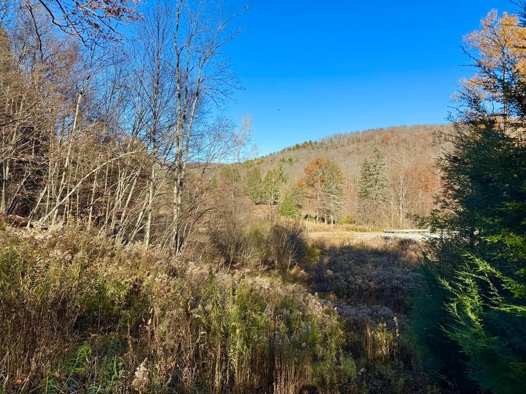Land in Blossburg, Pennsylvania