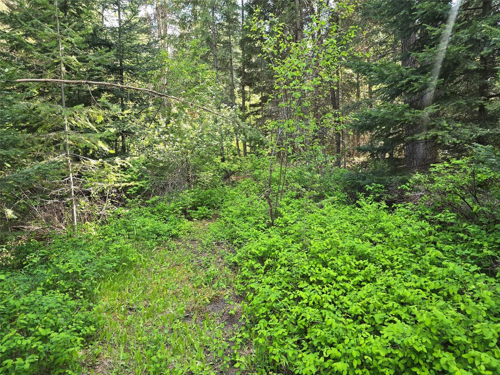 Picture 4