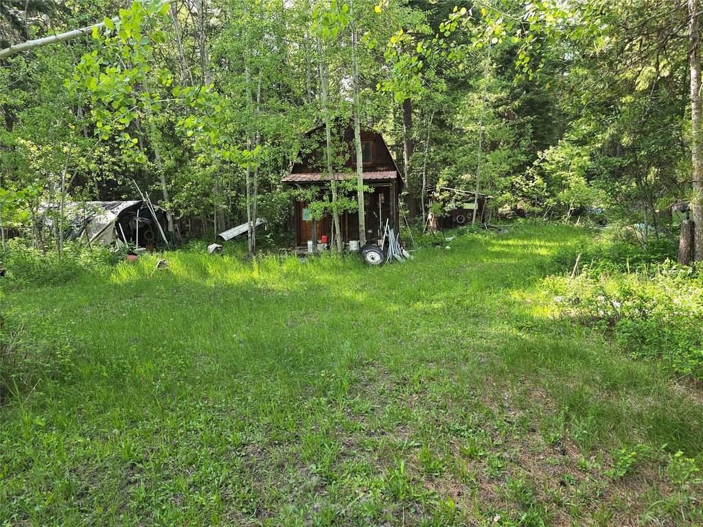 Picture 6