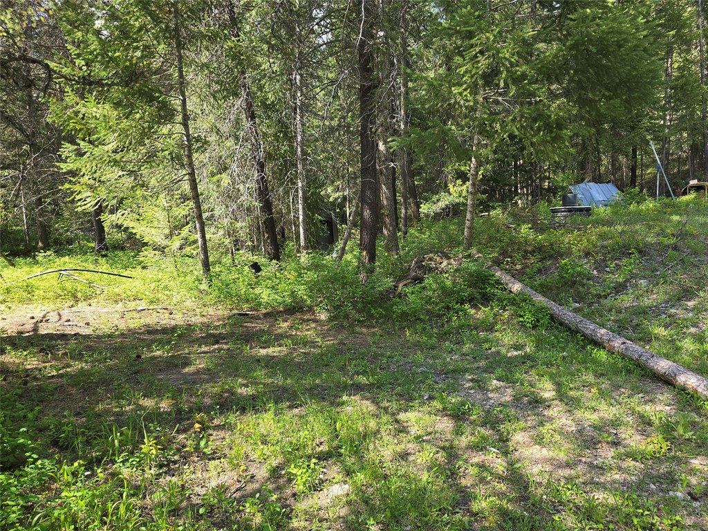 Picture 5