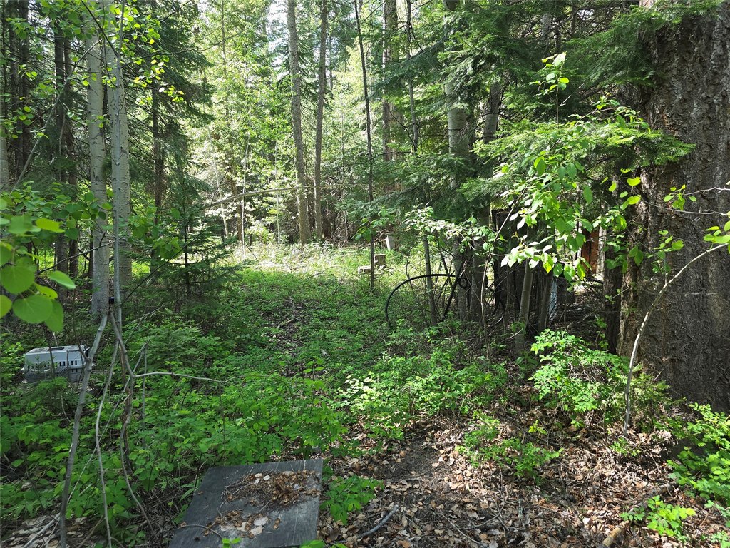 Picture 7