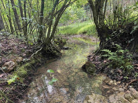Glenwood, AR Mountain Tract Land