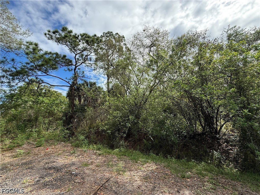 1.25-Acre Lot in Clewiston, FL