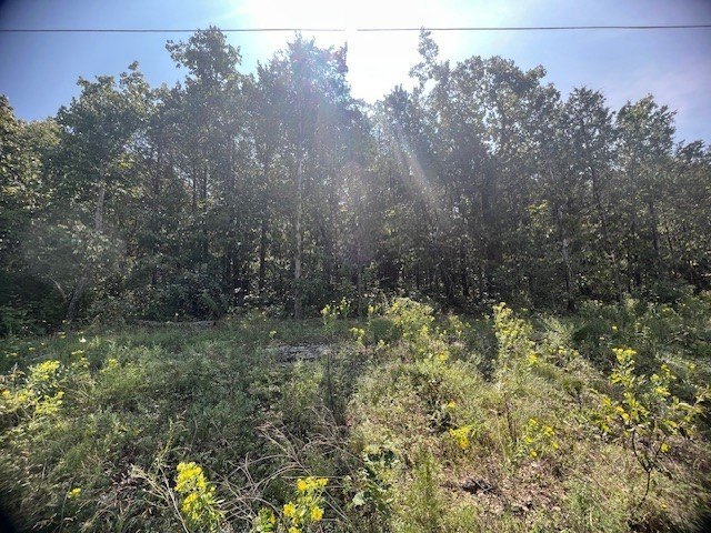 Holiday Island Treed Lot