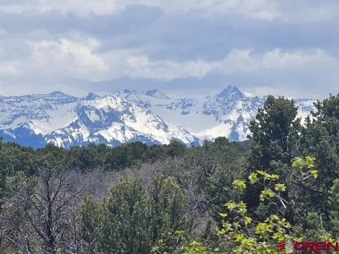 Montrose, CO