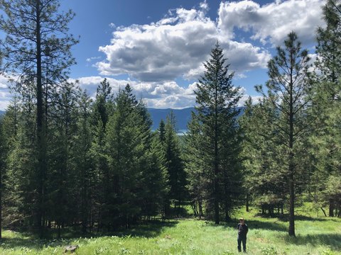 Picture of Land at Cripple Horse Crk Rd 1, Libby, MT
