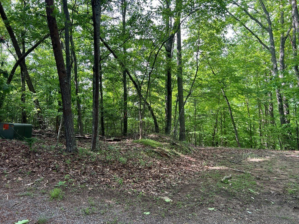 Picture 17