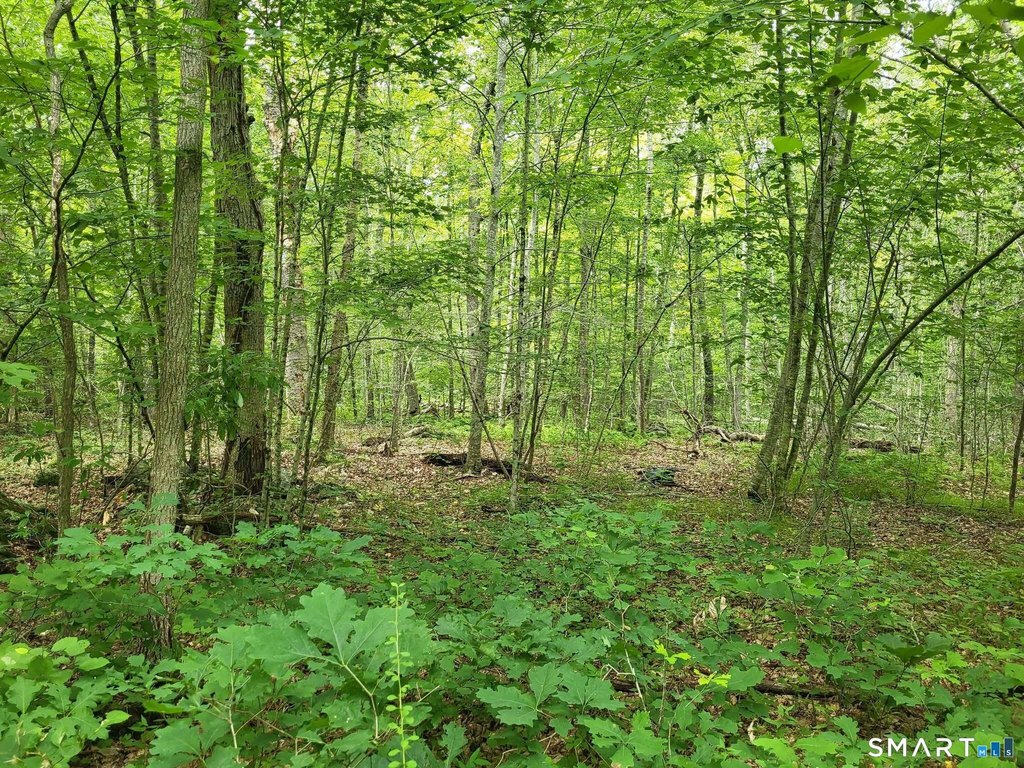 Picture 23