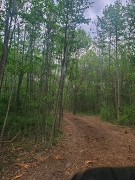 Land, Crown Point, IN