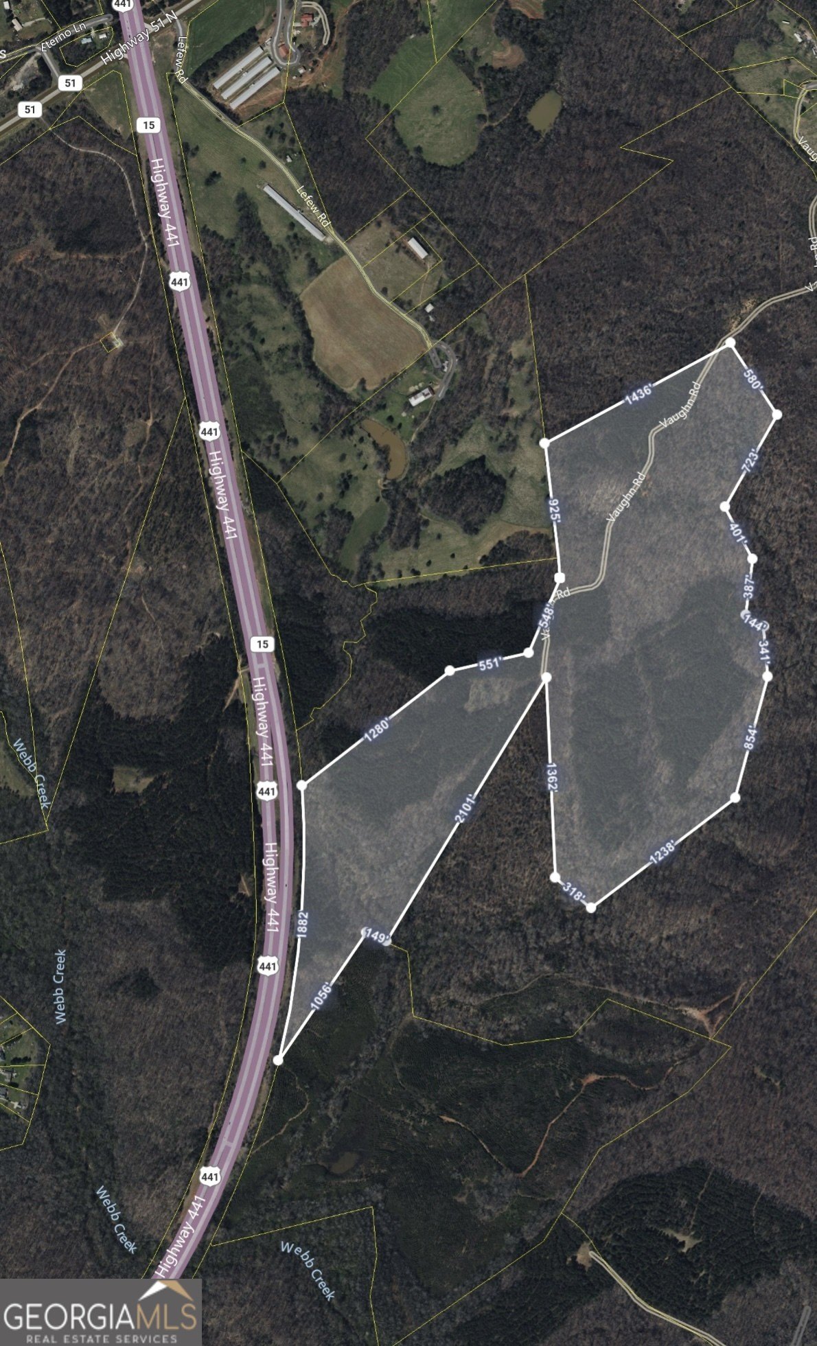 161.33 Acres in Homer, GA