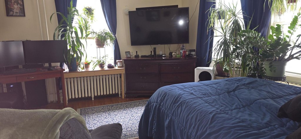 Picture 11