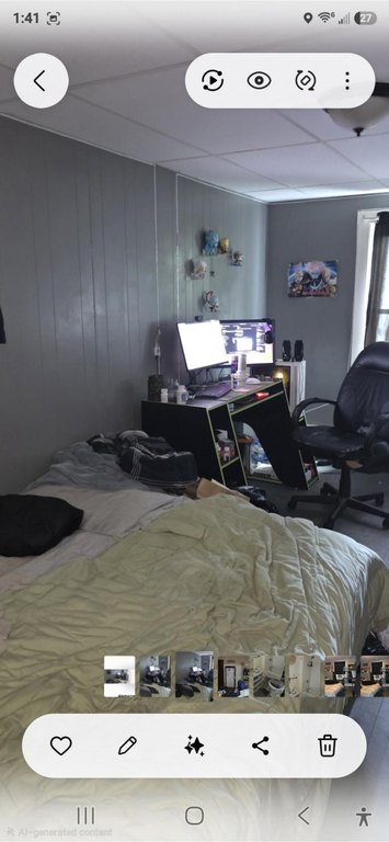 Picture 37