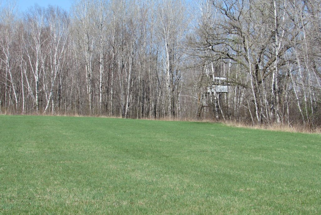 Picture 7