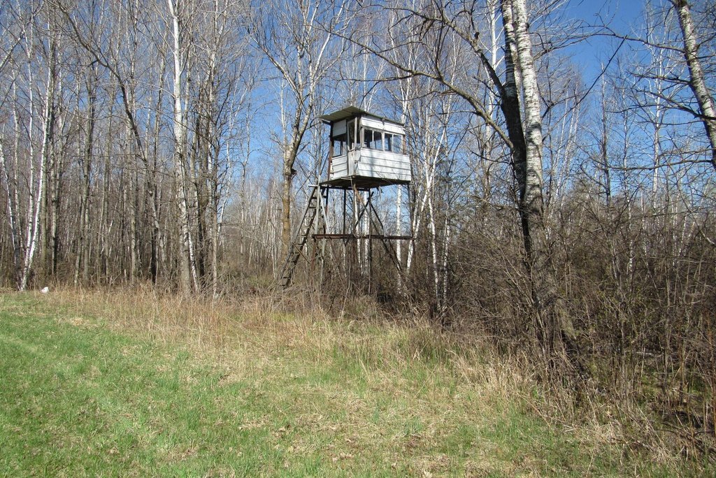 Picture 6