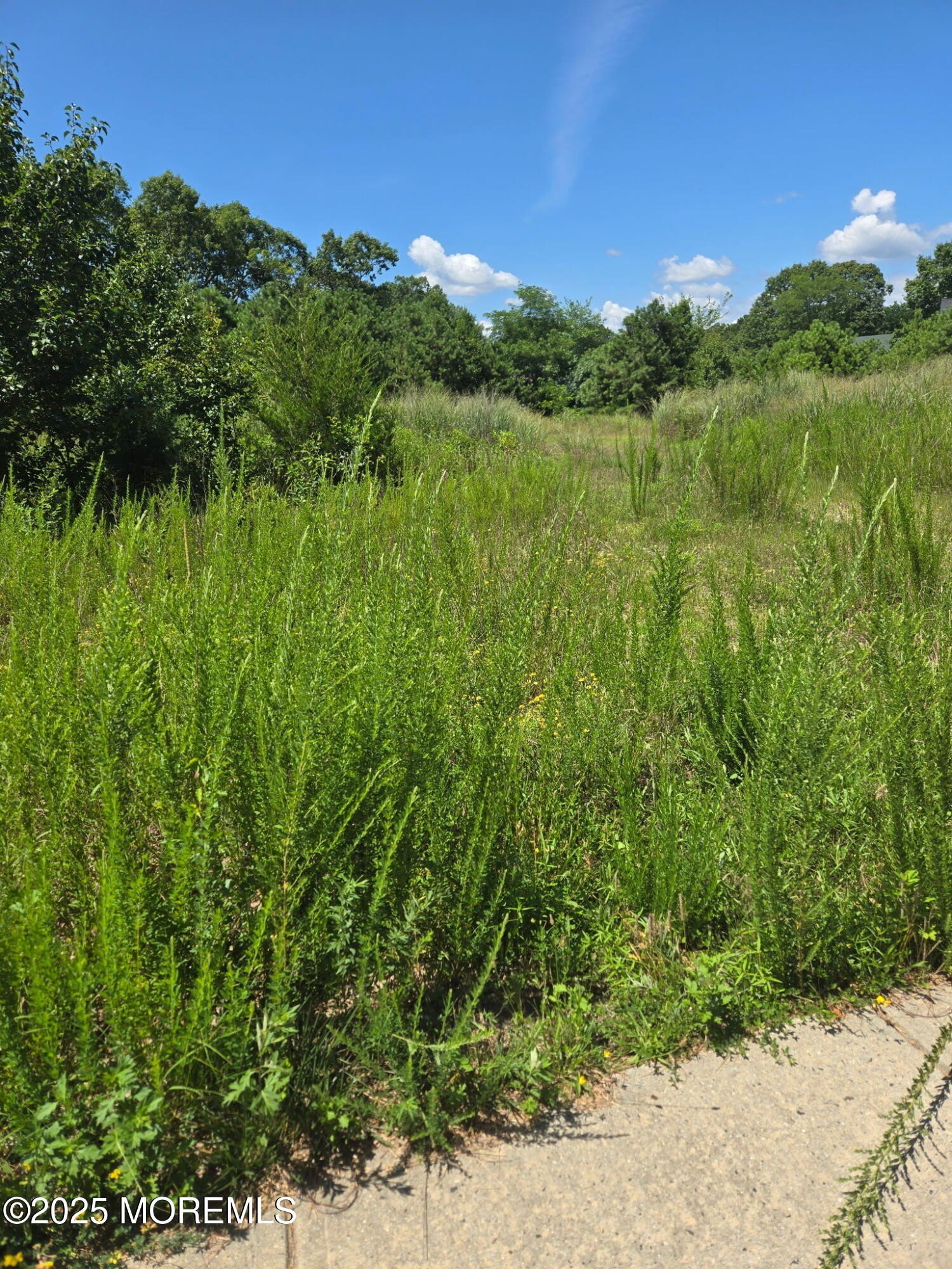 Residential Lot in Manahawkin, NJ