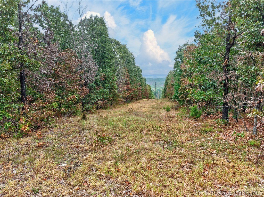 Picture 21