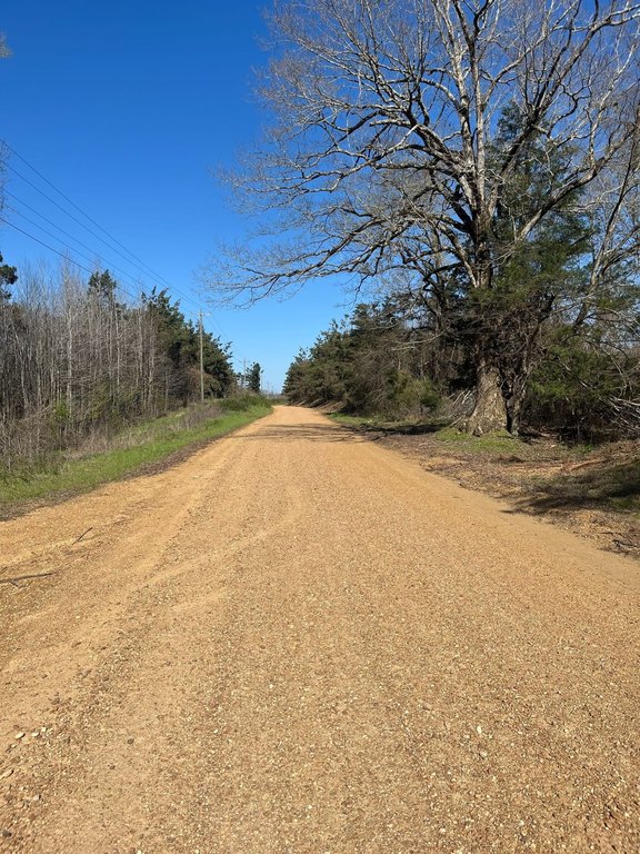 Picture 21