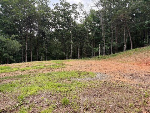 LAND - Ozark, AR