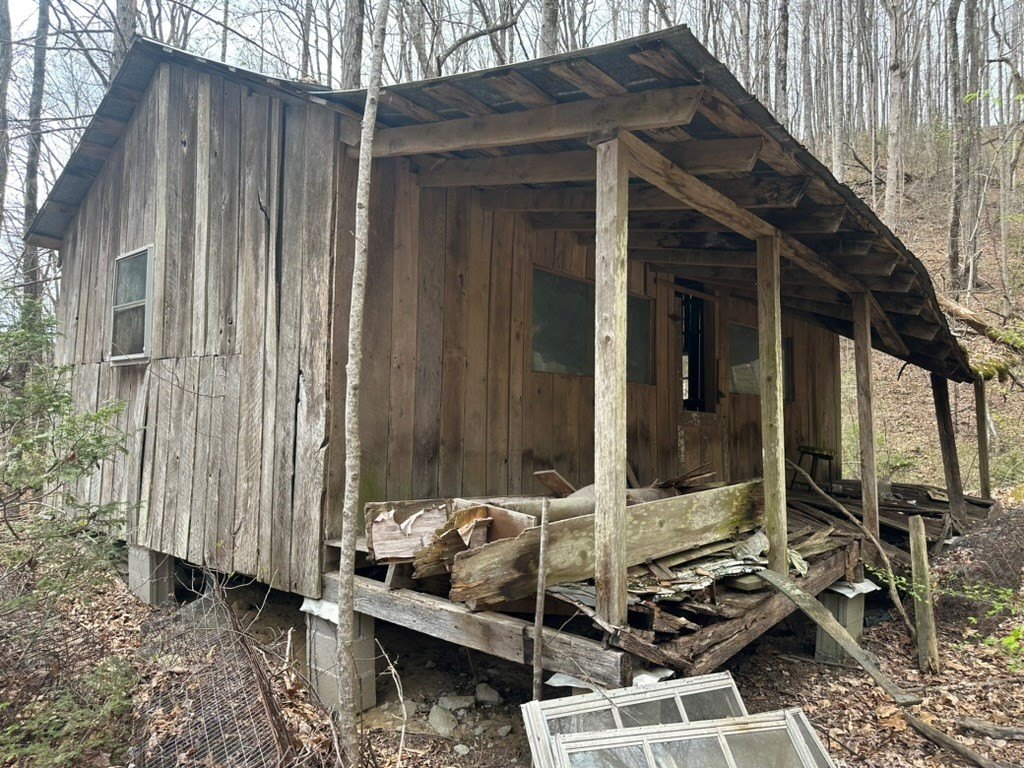 Picture 15