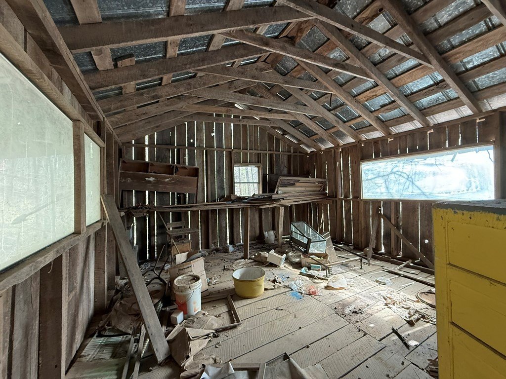 Picture 17