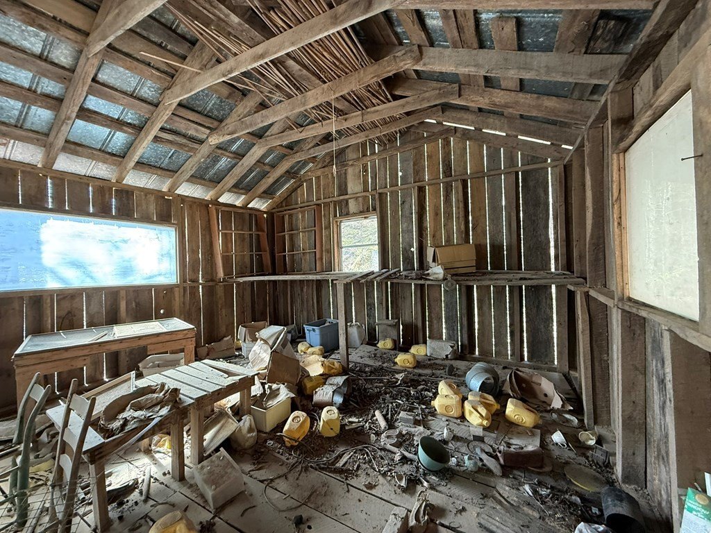 Picture 18