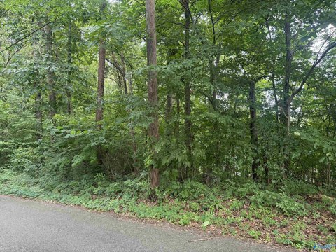 LAND - Gadsden, AL