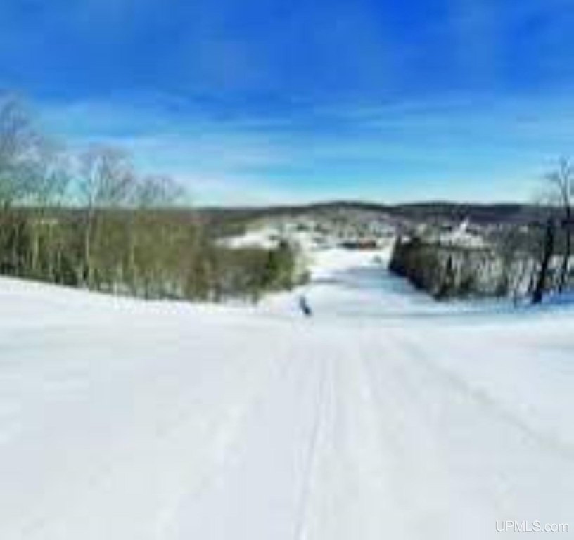 Picture 8