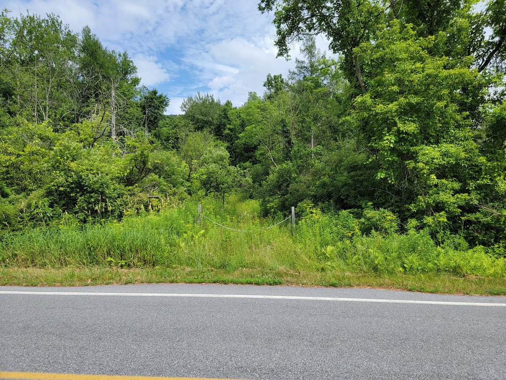 Picture 21