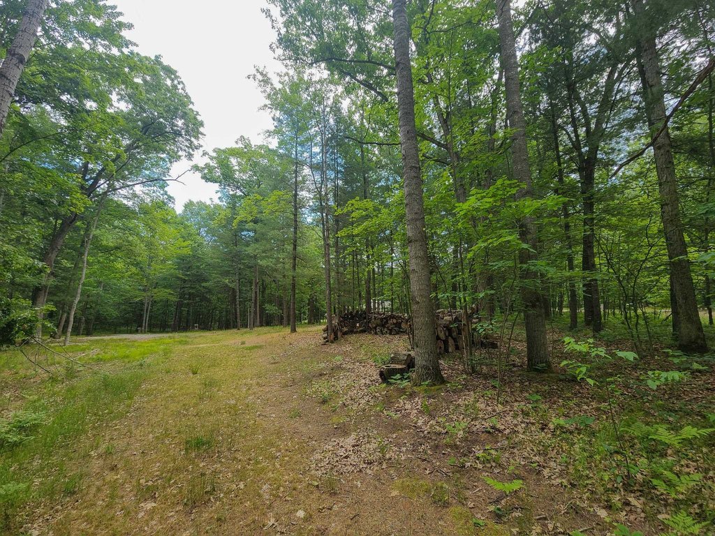 Picture 3