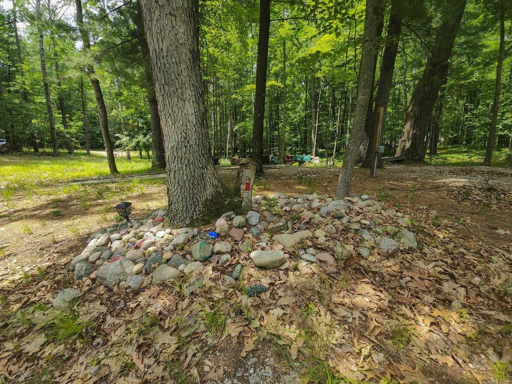 Picture 26