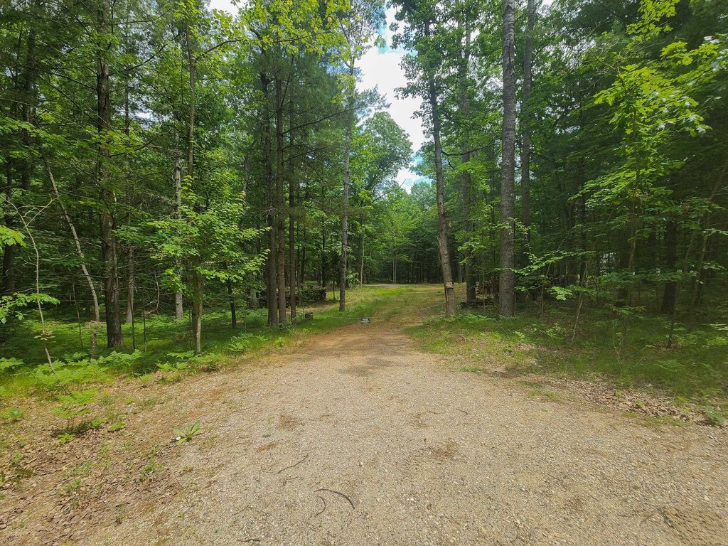 Picture 43