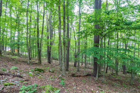 Lots/Land, Davis, WV