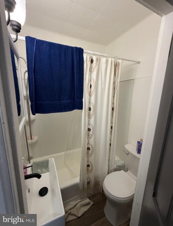 Picture 23