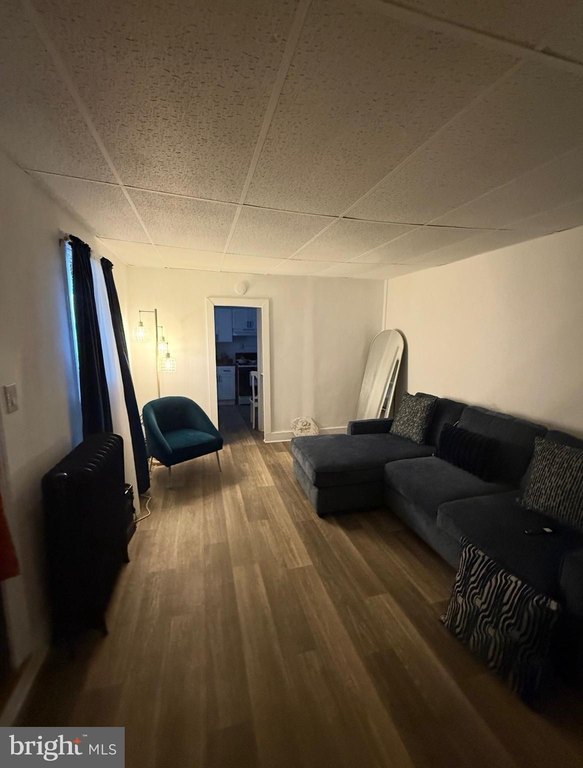 Picture 21