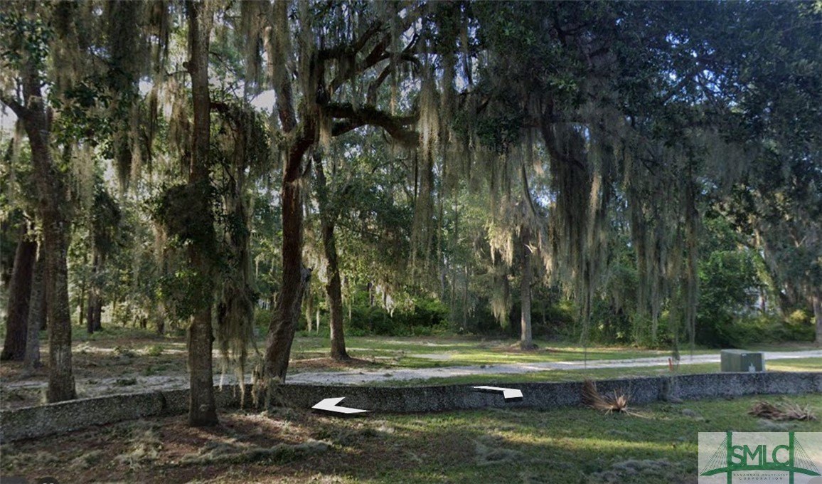 Tolomato Island Interior Lot