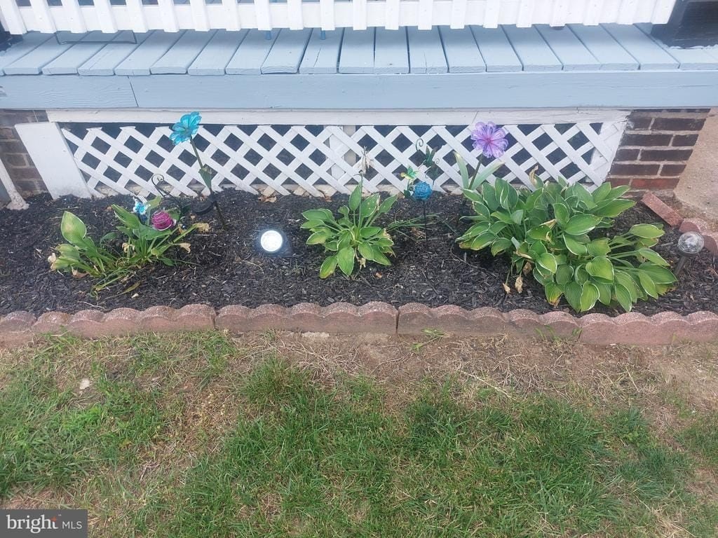 Picture 33