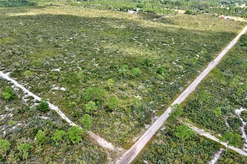 Land, Lake Placid, FL
