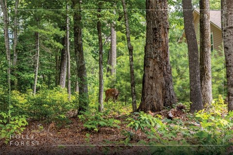 Sapphire, NC Wooded Homesite