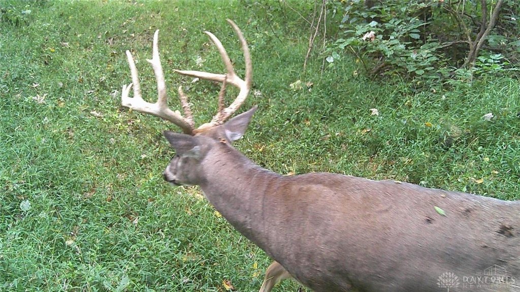 Picture 12