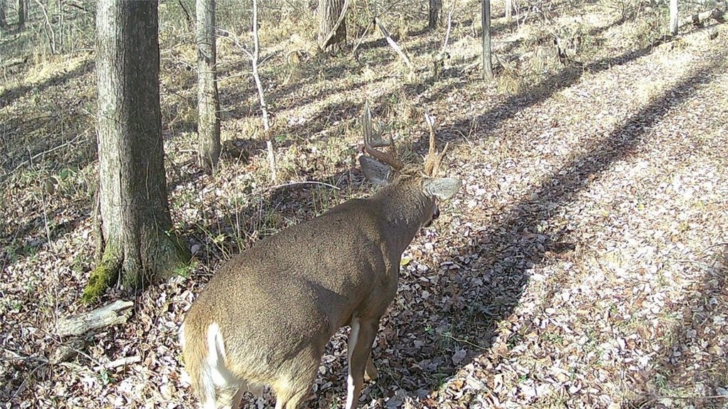 Picture 13