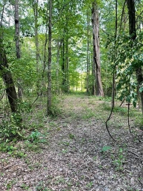 Picture 3