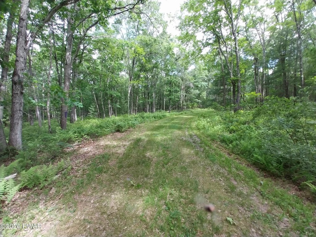 Picture 6