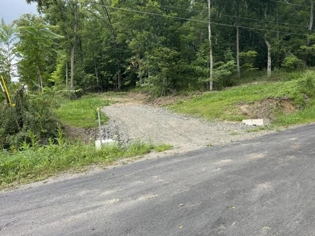 Picture 3
