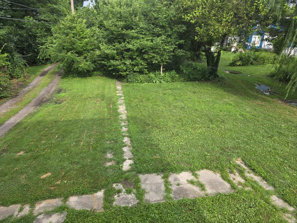 Picture 3