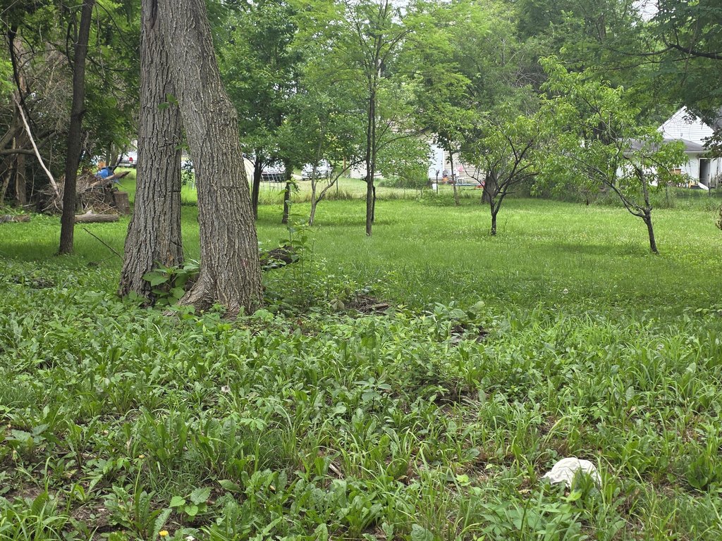 Picture 2
