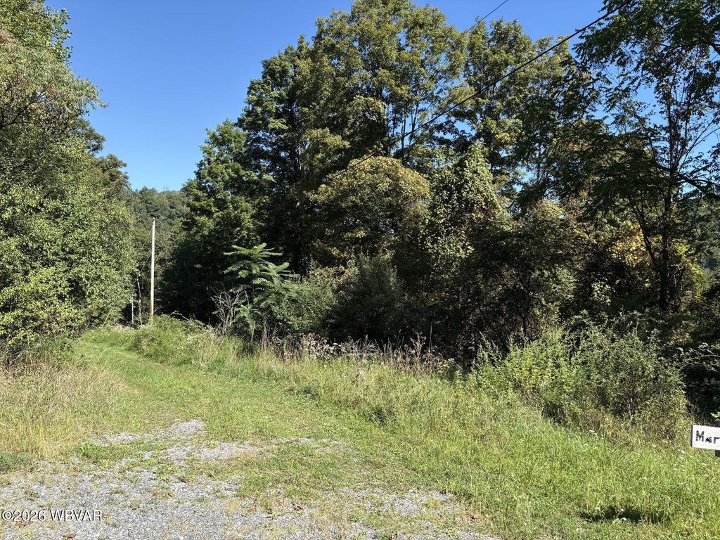 Picture 3