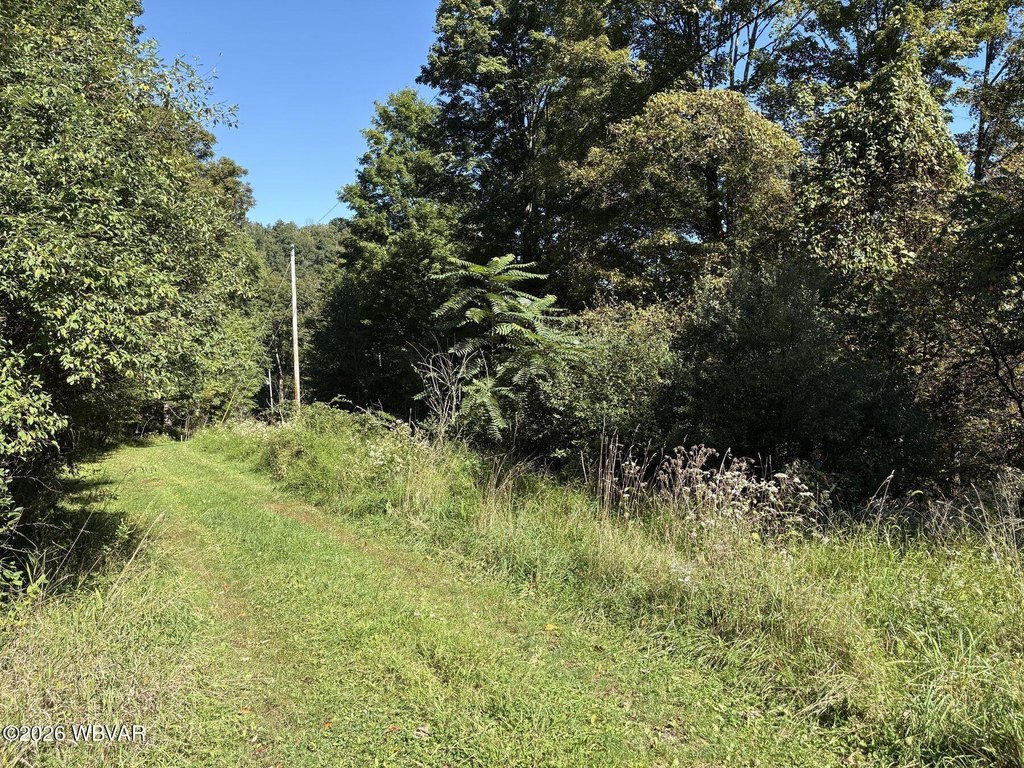Picture 5