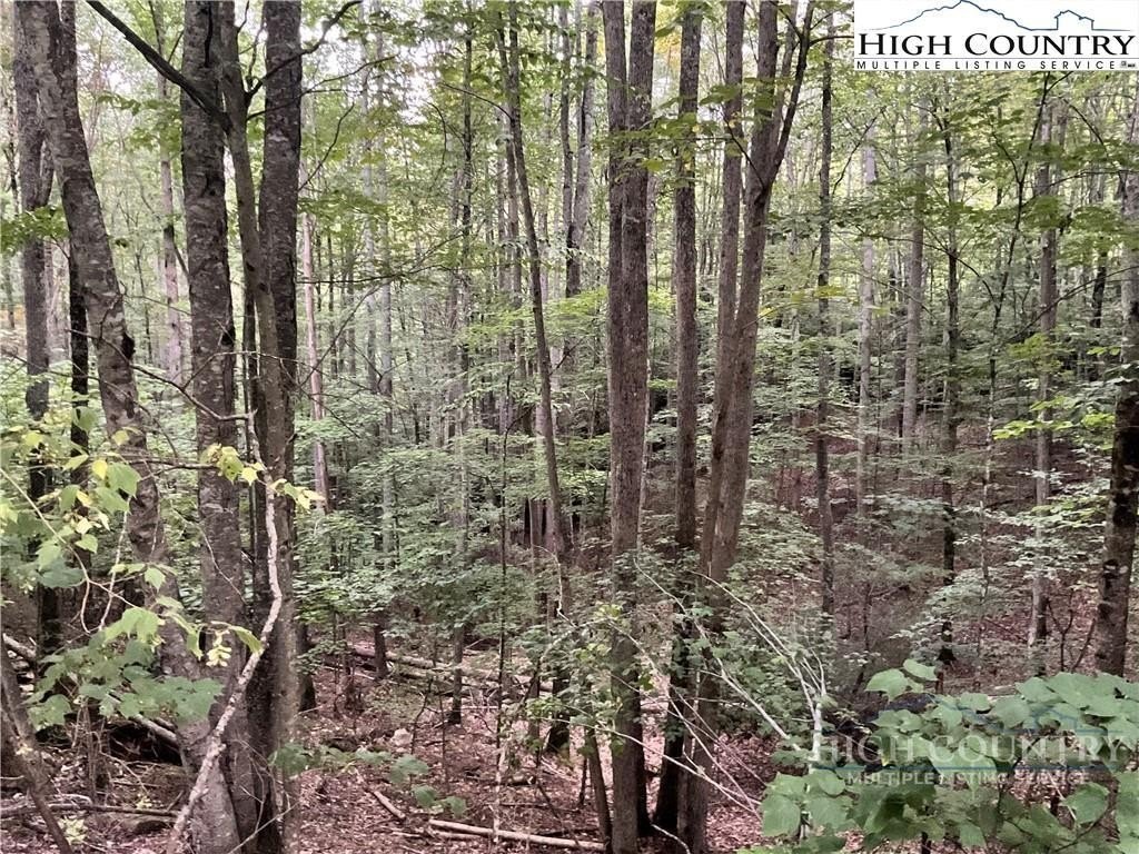 Beech Mountain Land Opportunity