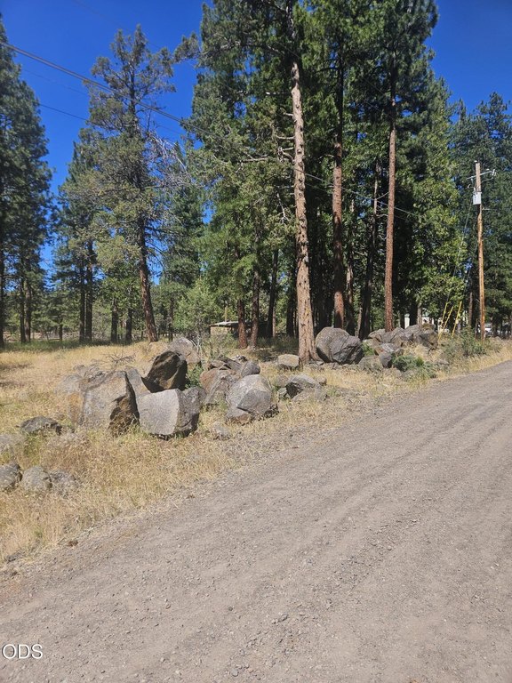 Picture 5