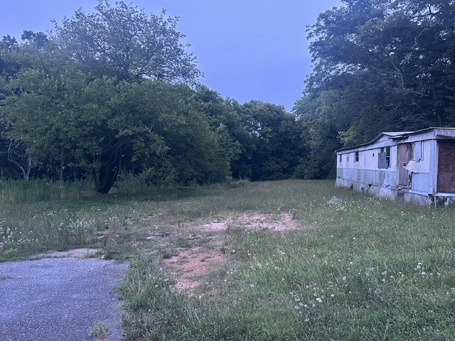 Picture 5